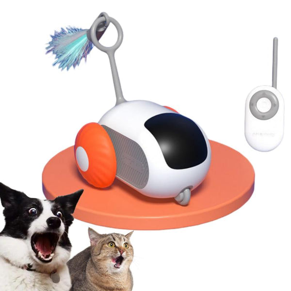 Voiture jouet interactive passionnante pour chat