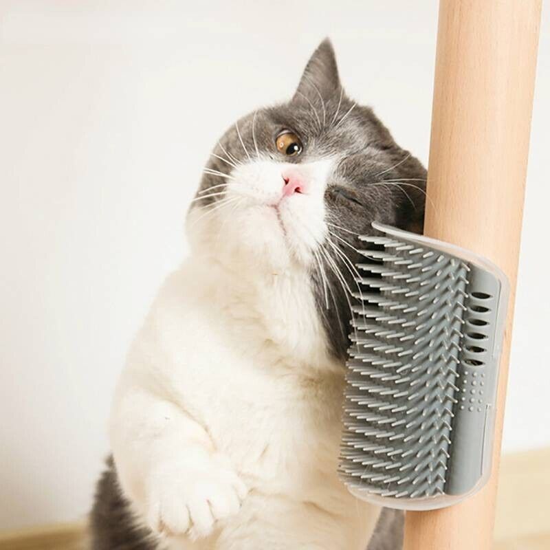 BROSSE D'AUTO-MASSAGE COIN CHAT