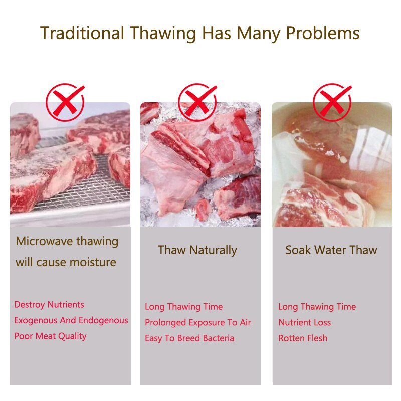 Fresh Quick Food Thaw Machines For Nature Nutrition Preservation and Bacteria Preventation